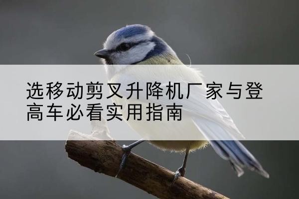 丰都电动升降机厂家-选移动剪叉升降机厂家与登高车必看实用指南