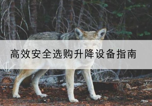 丰都升降货梯厂家推荐-*安全选购升降设备指南