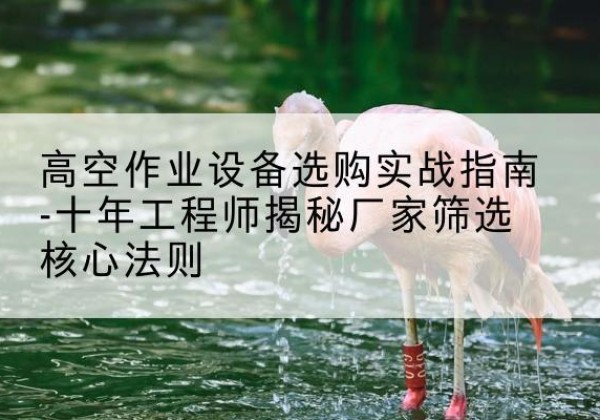 丰都剪叉式升降机厂家-高空作业设备选购实战指南-十年工程师揭秘厂家筛选核心法则